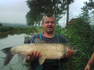 amur  - p05-08-0709092.jpg